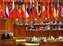 Nga phản đối nghị quyết của Hội đồng Nghị viện NATO về Biển Đen 